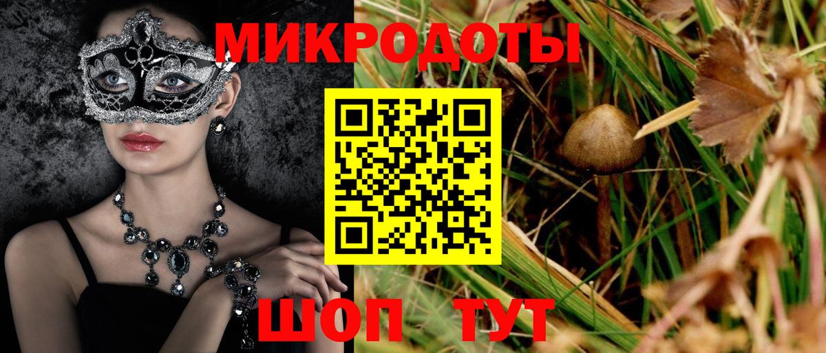 Галлюциногенные грибы GOLDEN TEACHER  Вход с VPN  Бийск  Галлюциногенные грибы Psilocybine cubensis 